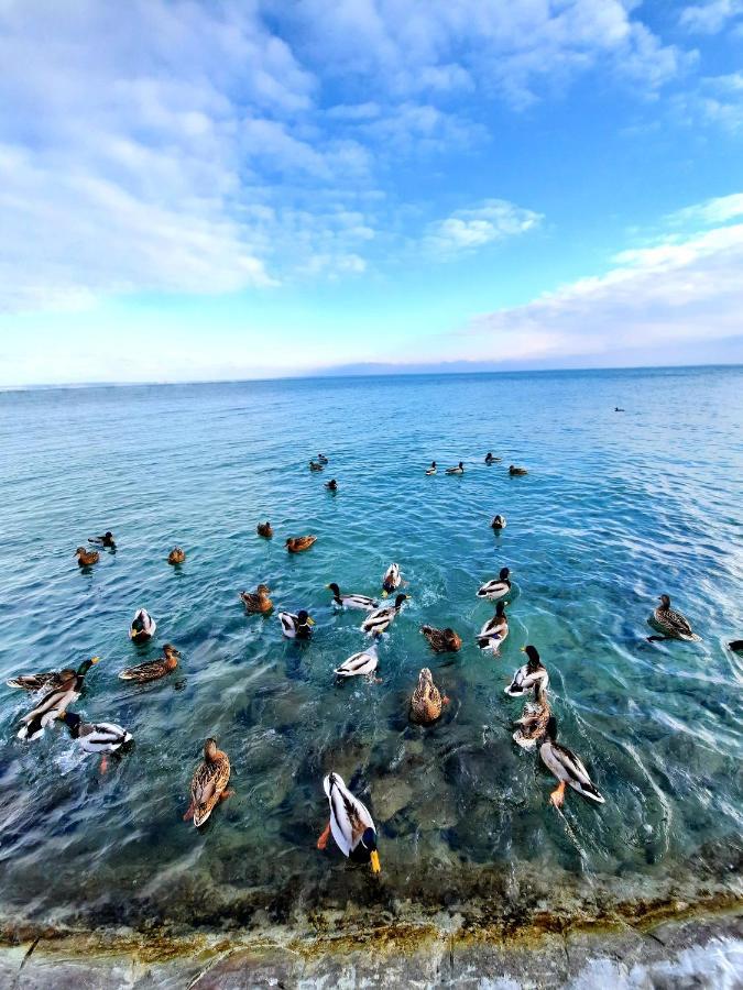 Harmonia Vendeghaz Leilighet Balatonalmádi Eksteriør bilde